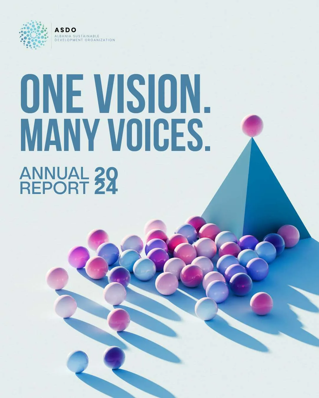 ASDO Annual Report 2024